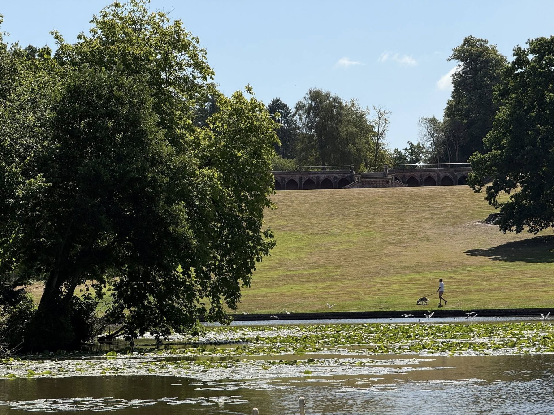 Photo of the Lake at Staunton Country Park.